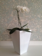 Květináč pozinkový plech SUNIX H-502011 S bílý 40x20x20 cm