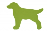 Koberec labrador zelený