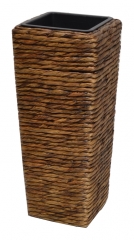 Kvetinac vodny hyacint